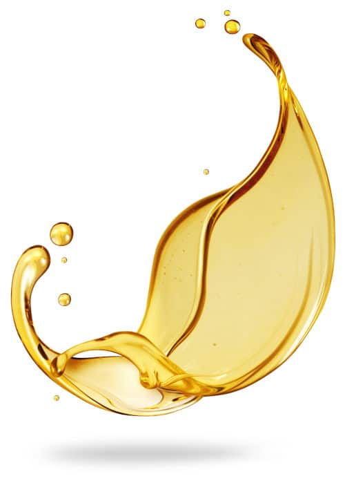 PetroLow Cost, empresa pionera en gasolineras low cost